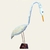 Aves