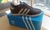 Imagen de ADIDAS SAMBAS