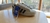ADIDAS SUPERSTAR - comprar online