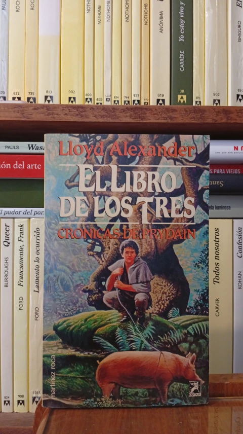 EL LIBRO DE LOS TRES (CRÓNICAS DE PRYDAIN)