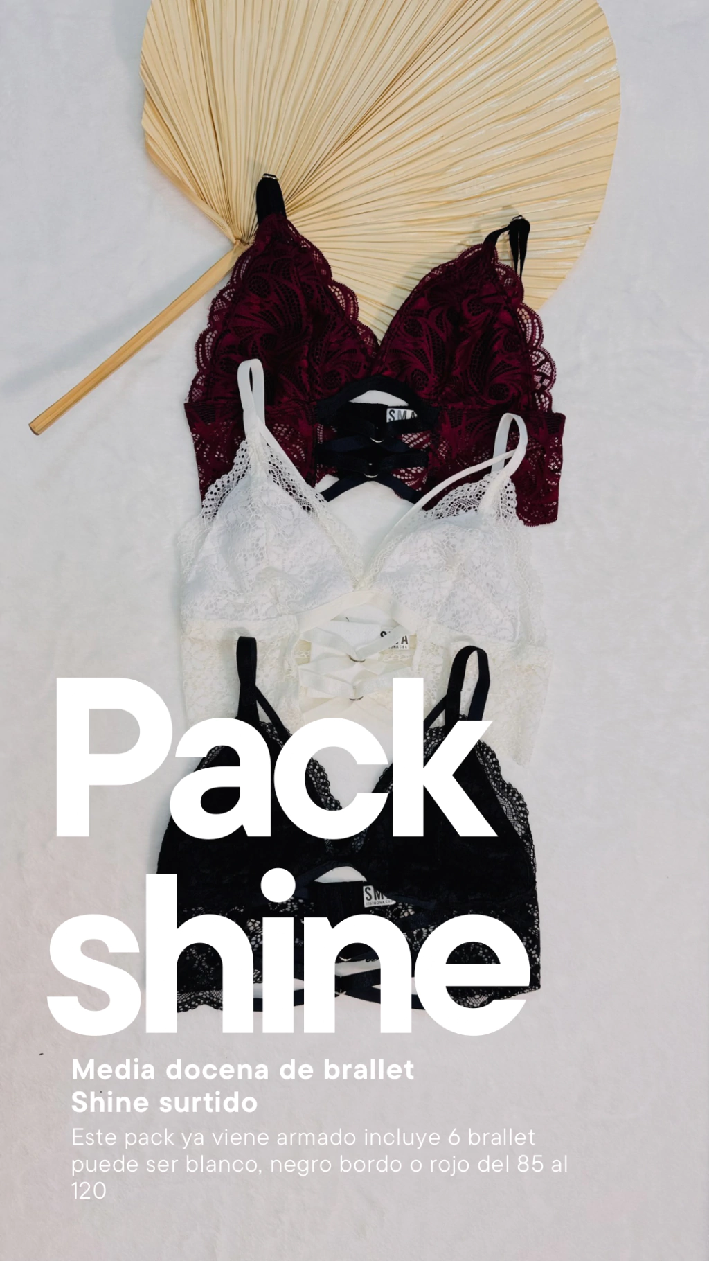 Pack shine x6