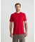 REMERA FORTALEZA M/C TAVERNITI HOMBRE - tienda online