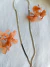 Corrente laminada de prata 925 com 45 cm, disposta sobre um fundo de tecido claro, decorada com flores secas laranja.