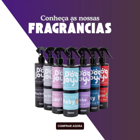 Carrossel 1