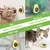 Catnip Natural Erva Gato na internet