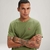 Camiseta Levis Masculina Classic Housemark Verde Manga Curta na internet