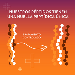 Beauty Focus Collagen+ Péptidos Bioactivos y Doble Hidroalizado - tienda online