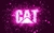 Imagen de Bota CAT Work Infantil