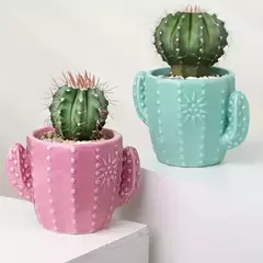 MACETA CACTUS