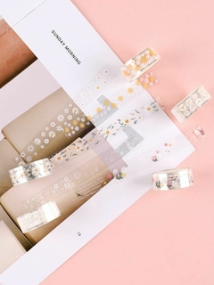 Pack de 5 cintas transparentes estampadas - tienda online