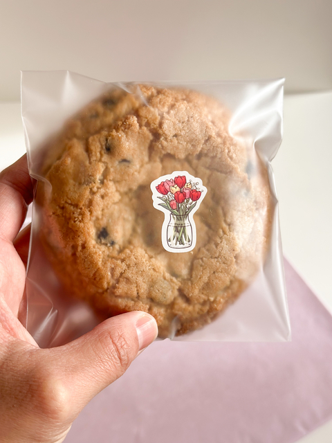 Bolsa opp lisa translúcida. Varios tamaños. Pack por 10 unidades.