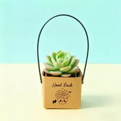 Mini caja con manija. 3 modelos disponibles. Precio por unidad. - Capkelitos mayorista