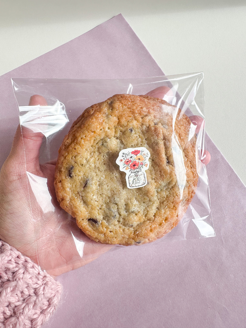 Bolsa opp lisa transparente. Varios tamaños. Pack por 10 unidades.