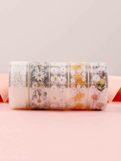 Pack de 5 cintas transparentes estampadas en internet