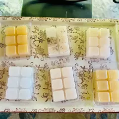 Molde de plástico pet con 6 cavidades para wax melt. Precio por unidad. - tienda online