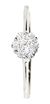 Anillo Roseta Diamantes Oro Blanco 18 Kts. - Arrighi Joyas