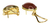 Aros Clip Rodocrosita Veta Ortiz Oro 18 K. ARRIGHI JOYAS - comprar online