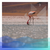 RESERVA PROVINCIAL LAGUNA BRAVA - comprar online