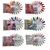 Esmalte semi charm limit - TAPA COLOR X 24