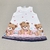 Vestido Infantil Ursinhos Cute Baby - Rovitex