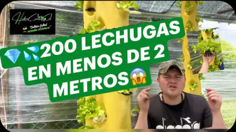 Video de hidroculticol