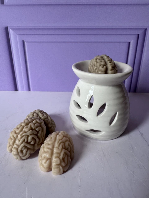 Wax Melts cerebro y quemador
