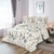 Kit Colcha/Cobre Leito Color King Estampado com 2 Porta Travesseiros - comprar online
