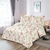 Kit Colcha/Cobre Leito Color King Estampado com 2 Porta Travesseiros - comprar online