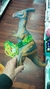 Dinosaurio Grandes