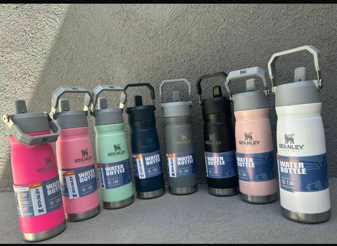 Botella flip Stanley 650 ML