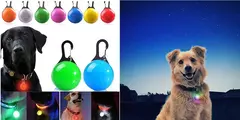 Imagem do Coleira Luminosa USB Recarregável para Animais de Estimação, LED ajustável