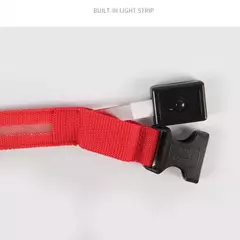 Coleira Luminosa USB Recarregável para Animais de Estimação, LED ajustável - comprar online