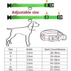 Coleira Luminosa USB Recarregável para Animais de Estimação, LED ajustável - MAC PS
