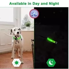 Coleira Luminosa USB Recarregável para Animais de Estimação, LED ajustável