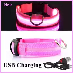 Imagem do Coleira Luminosa USB Recarregável para Animais de Estimação, LED ajustável