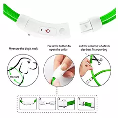Coleira Luminosa USB Recarregável para Animais de Estimação, LED ajustável - comprar online