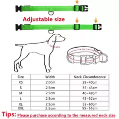 Coleira Luminosa USB Recarregável para Animais de Estimação, LED ajustável - comprar online