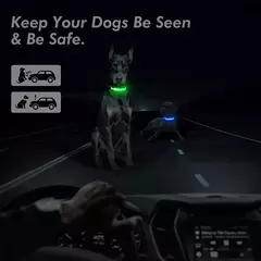 Coleira Luminosa USB Recarregável para Animais de Estimação, LED ajustável na internet