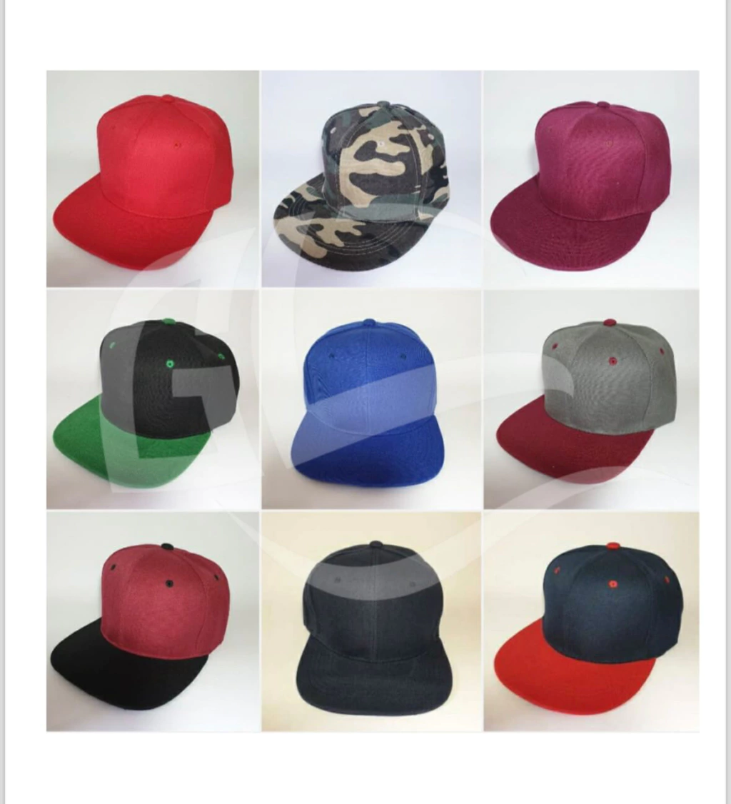 Plana Visera Lisa