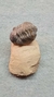 Fósil Trilobite En Roca Marruecos