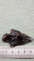 Obsidiana Negra Punta De Flecha