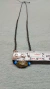 Collar, Turquesa Azúl Jade Musgozo - tienda en línea