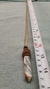 Imagen de Collar, Jaspe Cebra