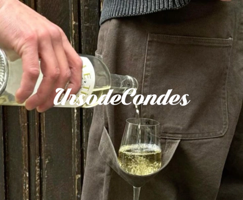 Carrusel Urso de Condes