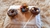 Minidonas para souvenirs - tienda online