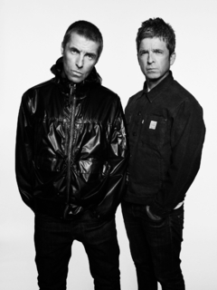 Banner de la categoría Oasis