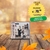 Stay together cd single japonés, Suede