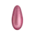 Pink Rose