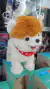 Perro De Peluche Que Camina Ladra