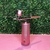 AEROGRAFO ROSA